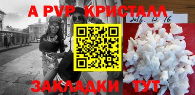 шишки Тара