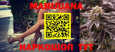 шишки Тара