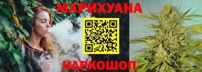 шишки Тара